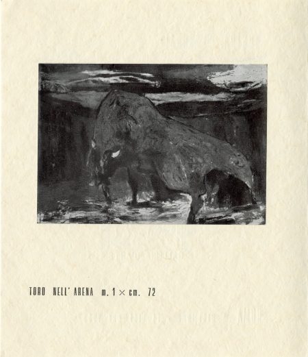 Toro nell,arena